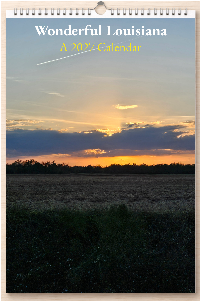 Wonderful Louisiana: A 2027 Calendar