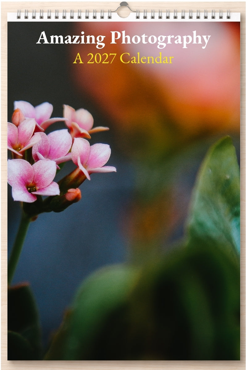 Amazing Photography: A 2027 Calendar