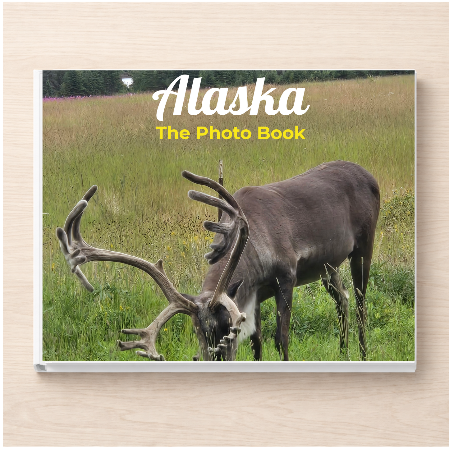 Alaska: The Photo Book