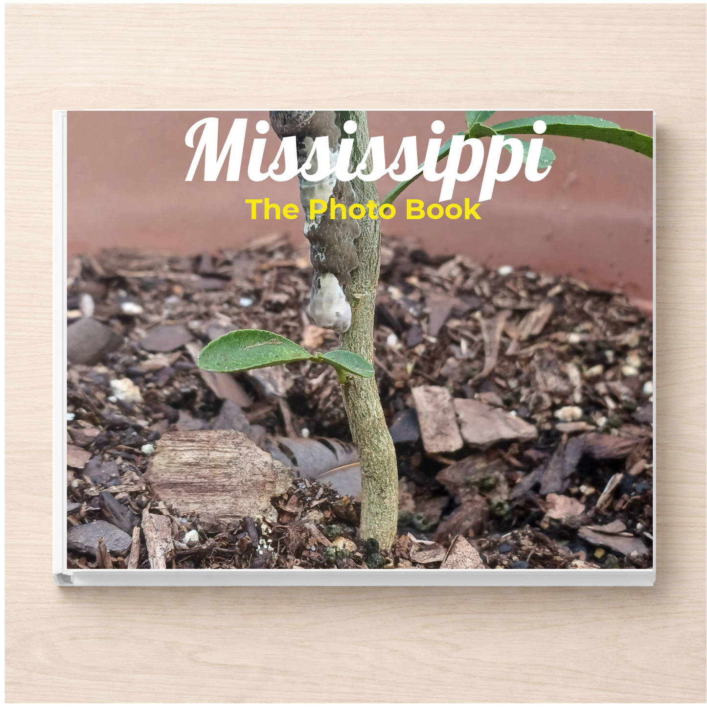 Mississippi: The Photo Book