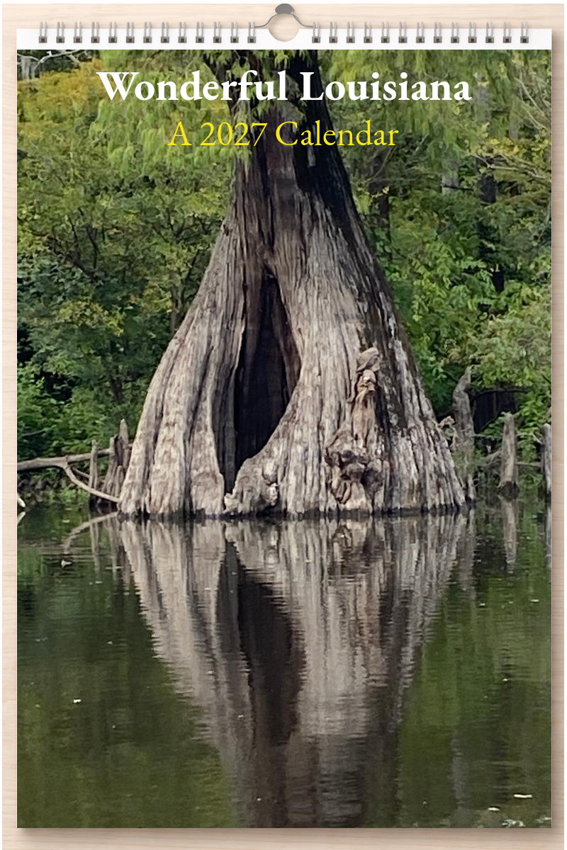 Wonderful Louisiana: A 2027 Calendar