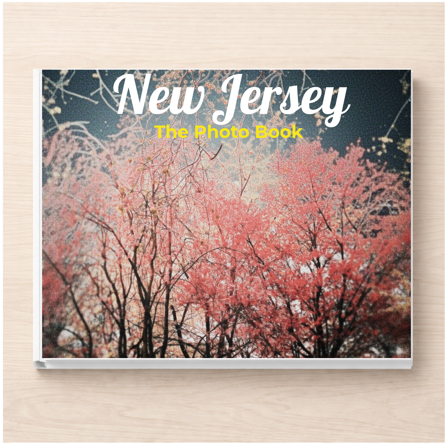 New Jersey: The Photo Book