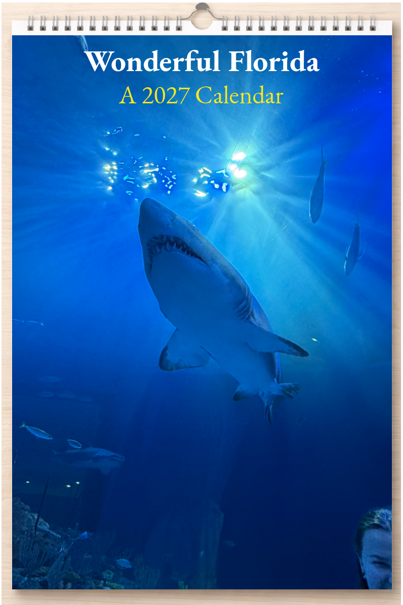 Wonderful Florida: A 2027 Calendar
