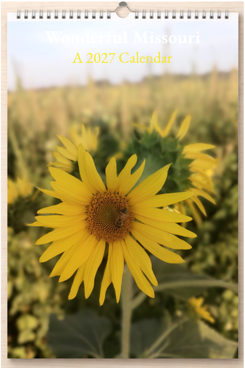 Wonderful Missouri: A 2027 Calendar