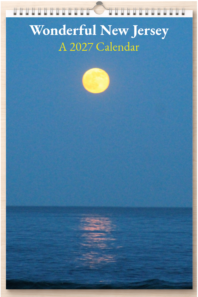Wonderful New Jersey: A 2027 Calendar