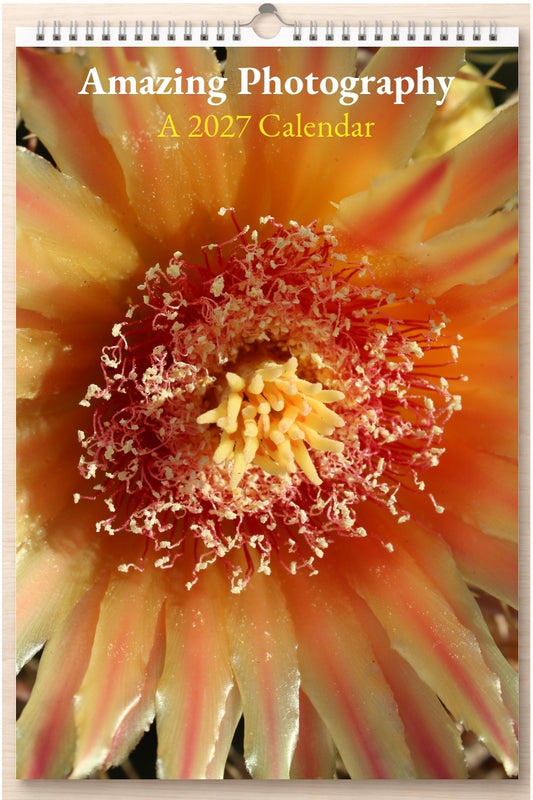 Amazing Photography: A 2027 Calendar