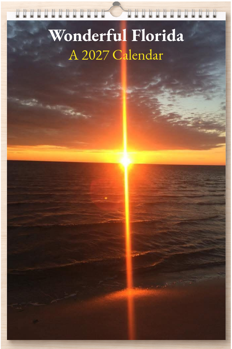 Wonderful Florida: A 2027 Calendar