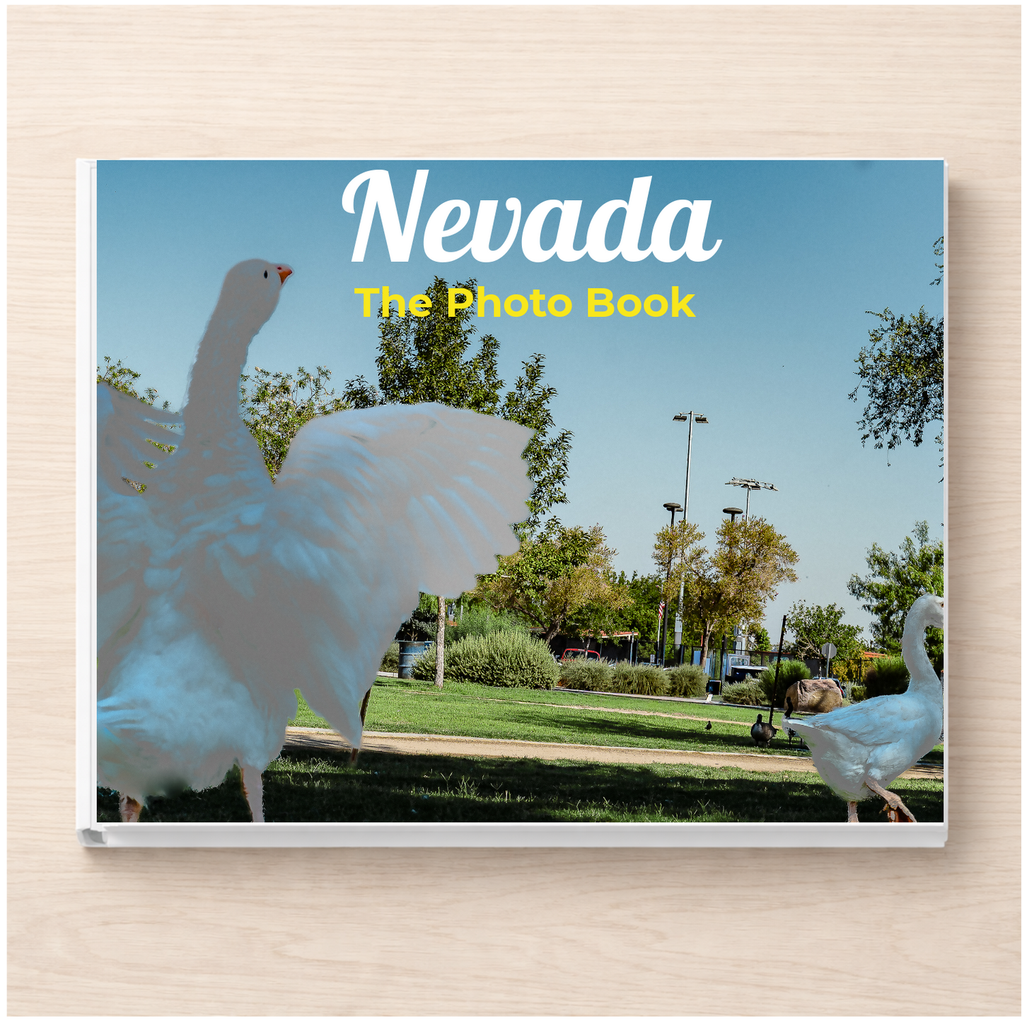 Nevada: The Photo Book