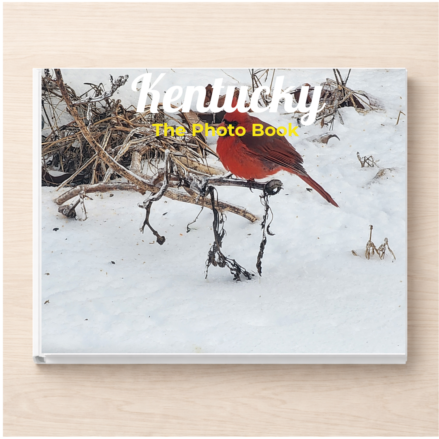 Kentucky: The Photo Book