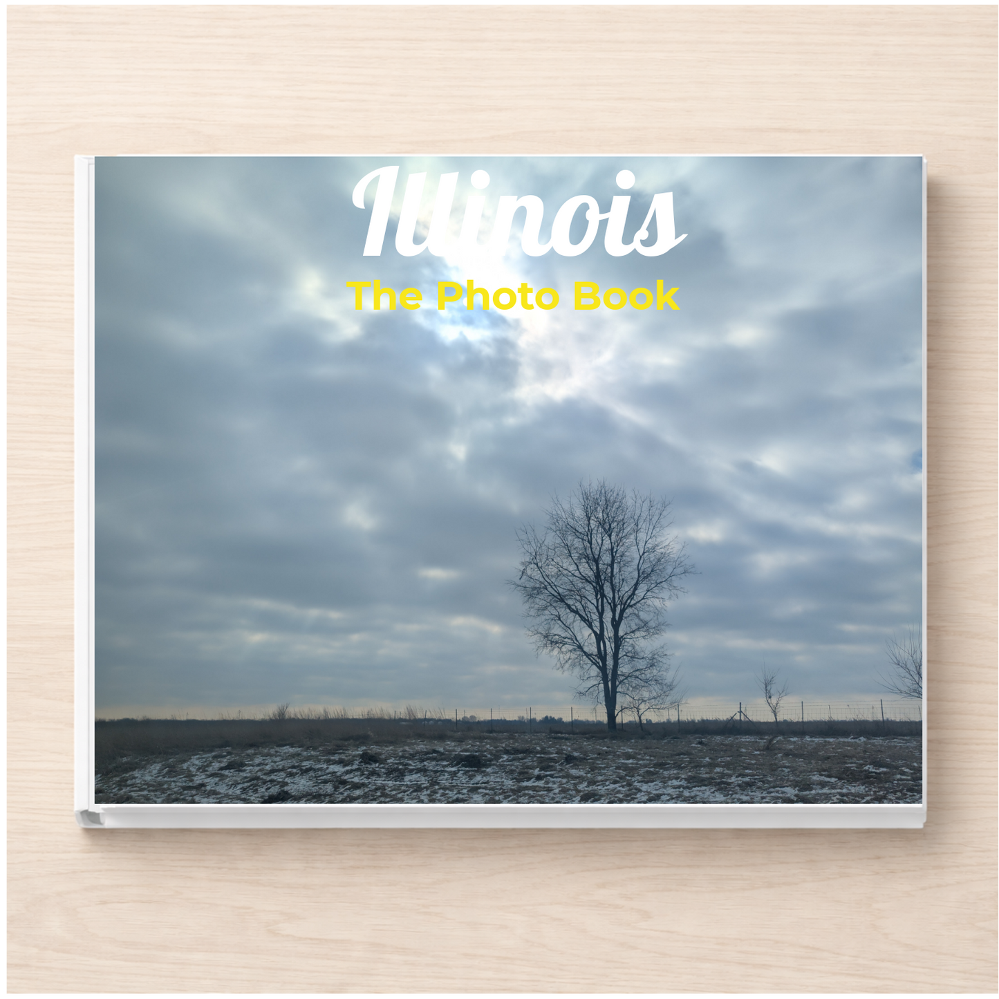 Illinois: The Photo Book