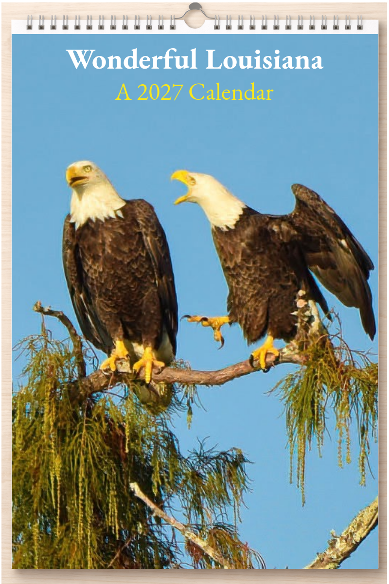 Wonderful Louisiana: A 2027 Calendar