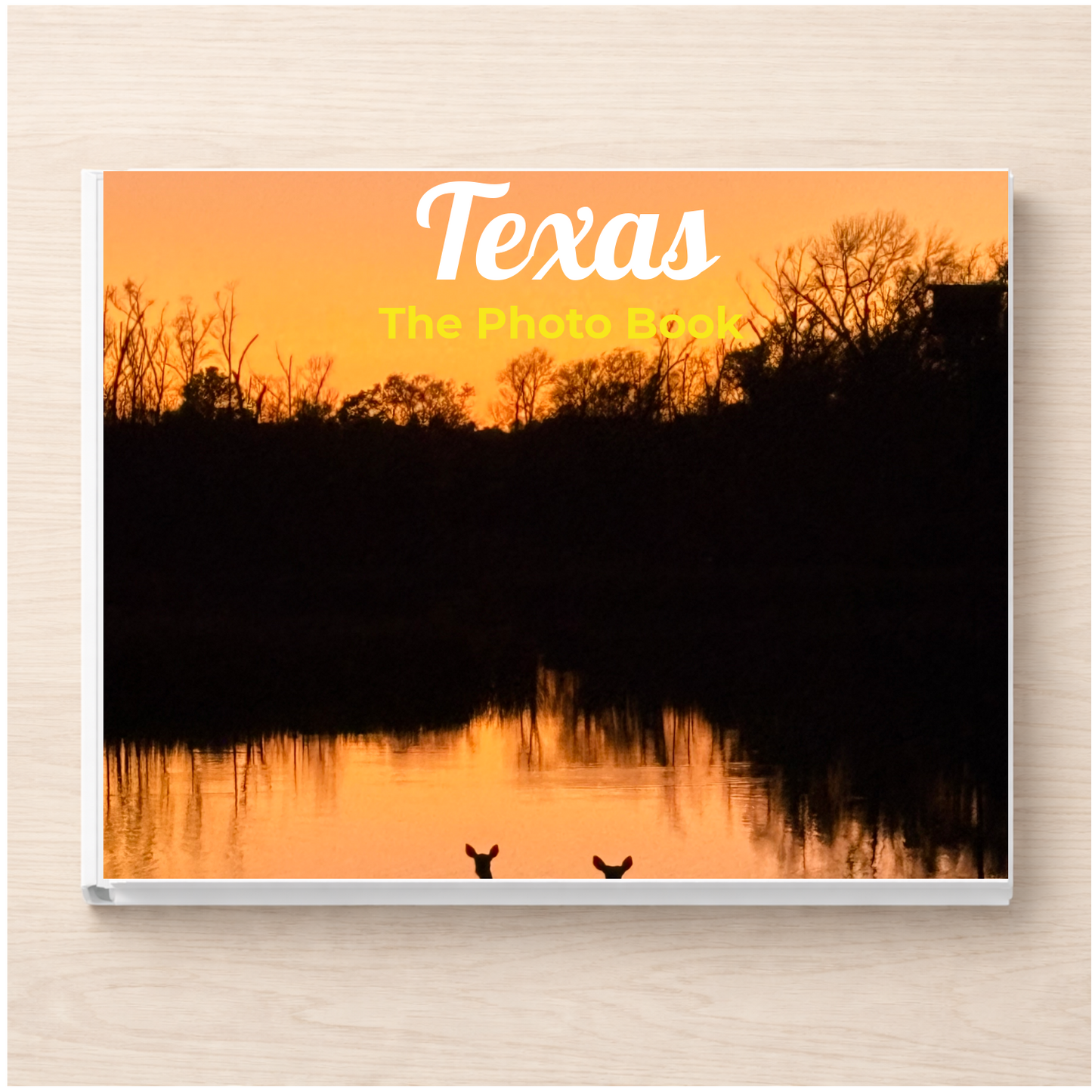 Texas: The Photo Book