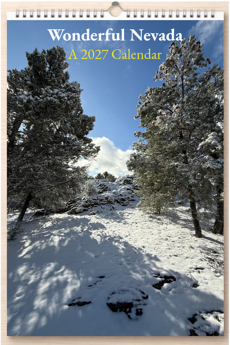 Wonderful Nevada: A 2027 Calendar