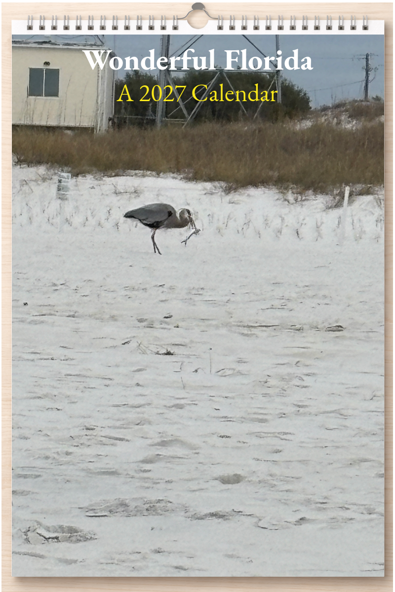 Wonderful Florida: A 2027 Calendar