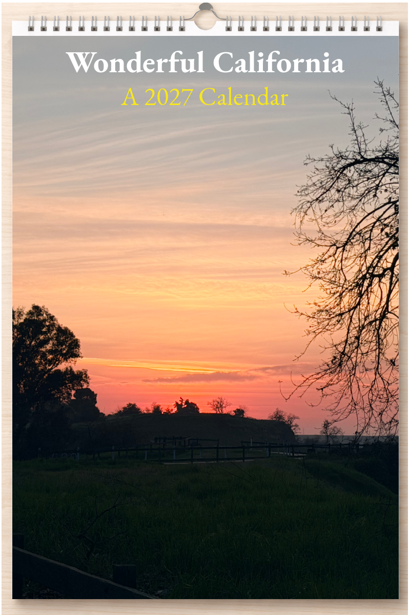 Wonderful California: A 2027 Calendar