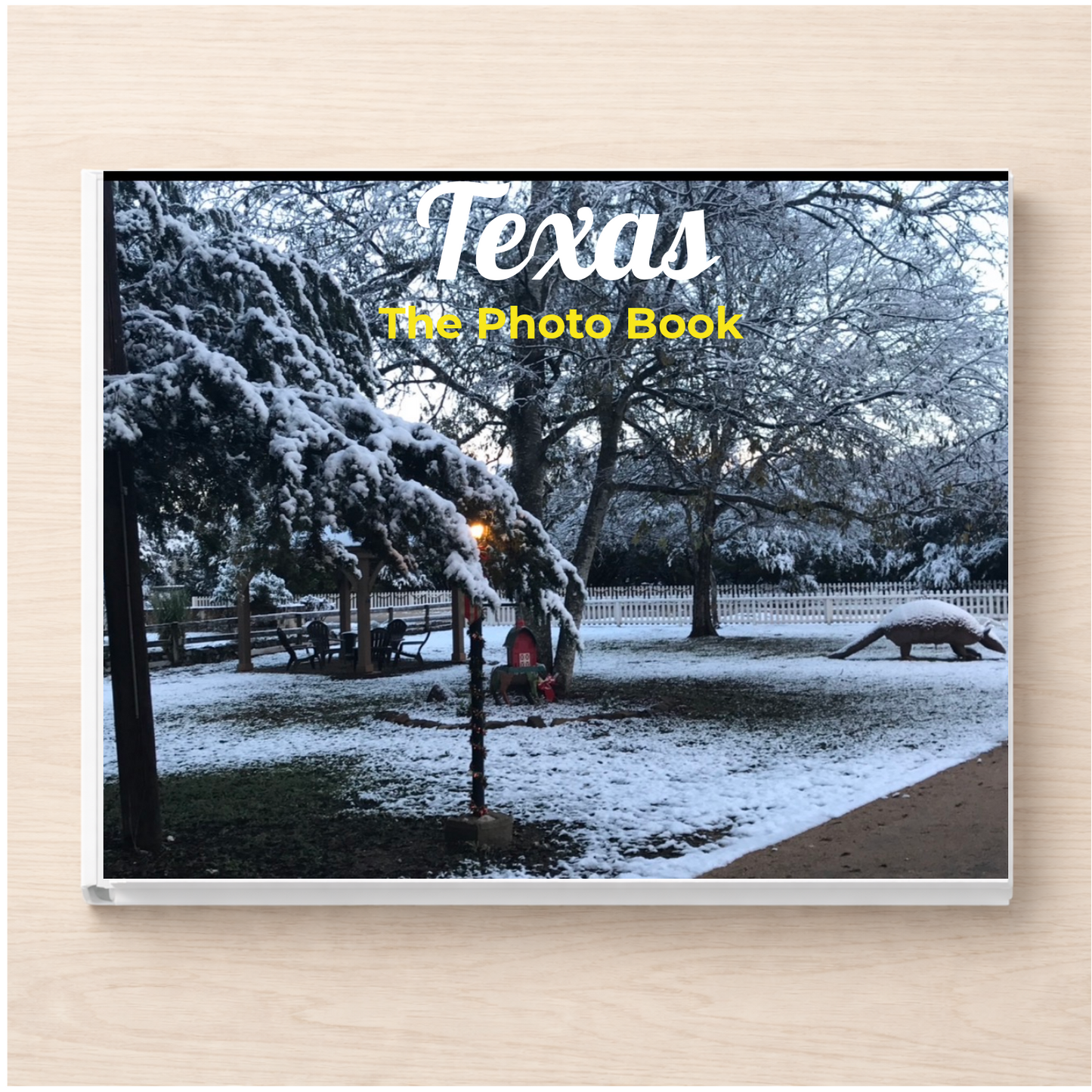 Texas: The Photo Book