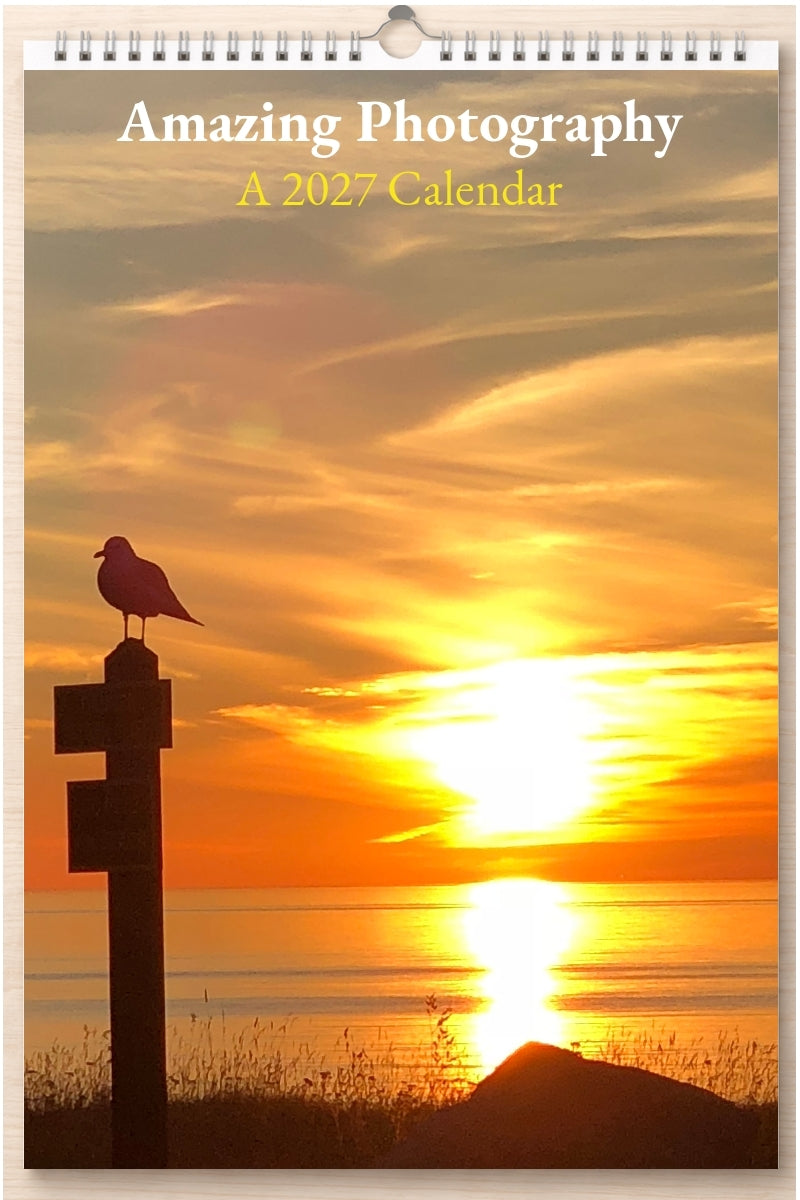 Amazing Photography: A 2027 Calendar