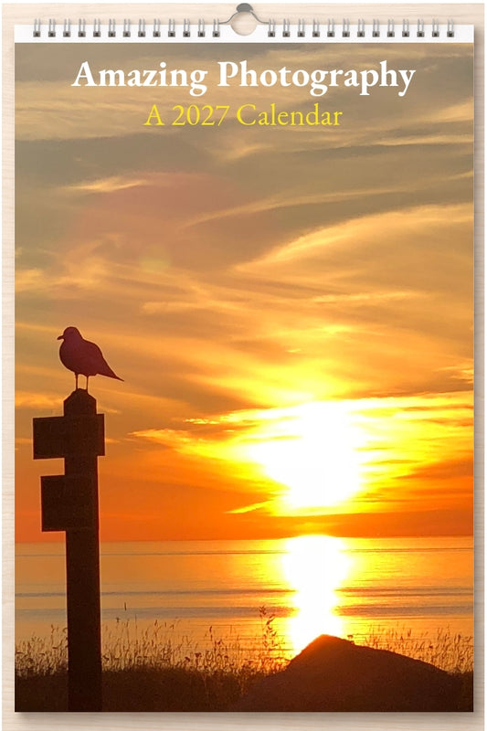 Amazing Photography: A 2027 Calendar