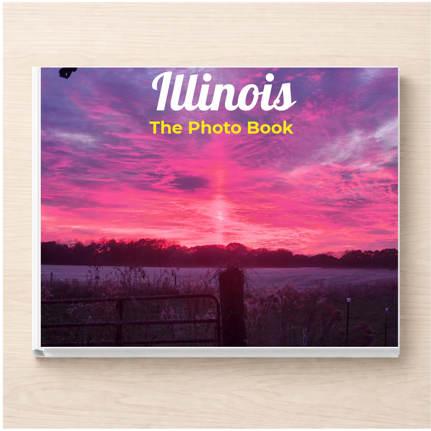 Illinois: The Photo Book