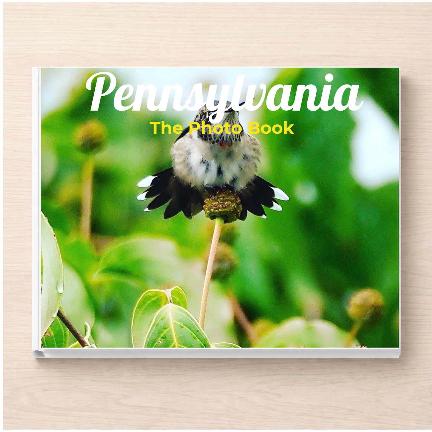 Pennsylvania: The Photo Book