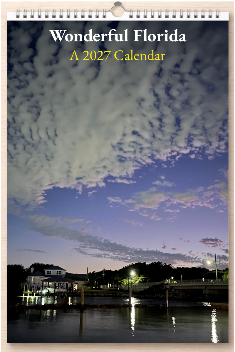 Wonderful Florida: A 2027 Calendar