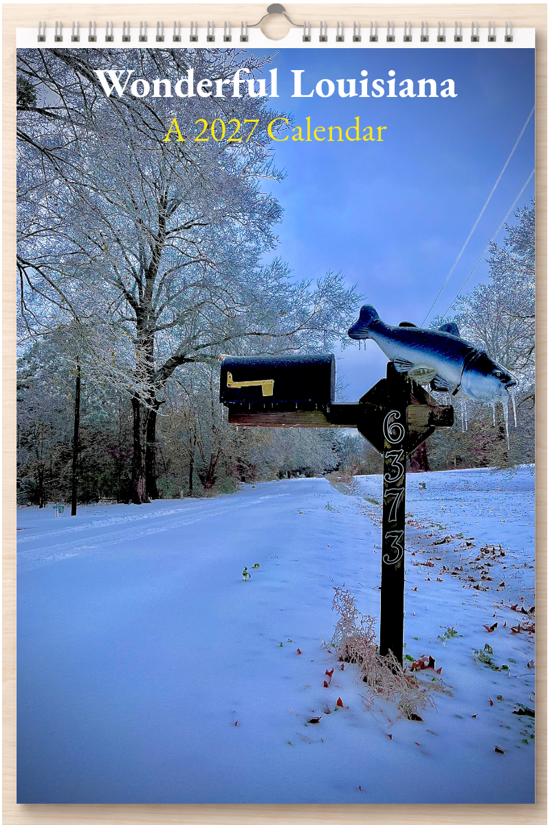 Wonderful Louisiana: A 2027 Calendar