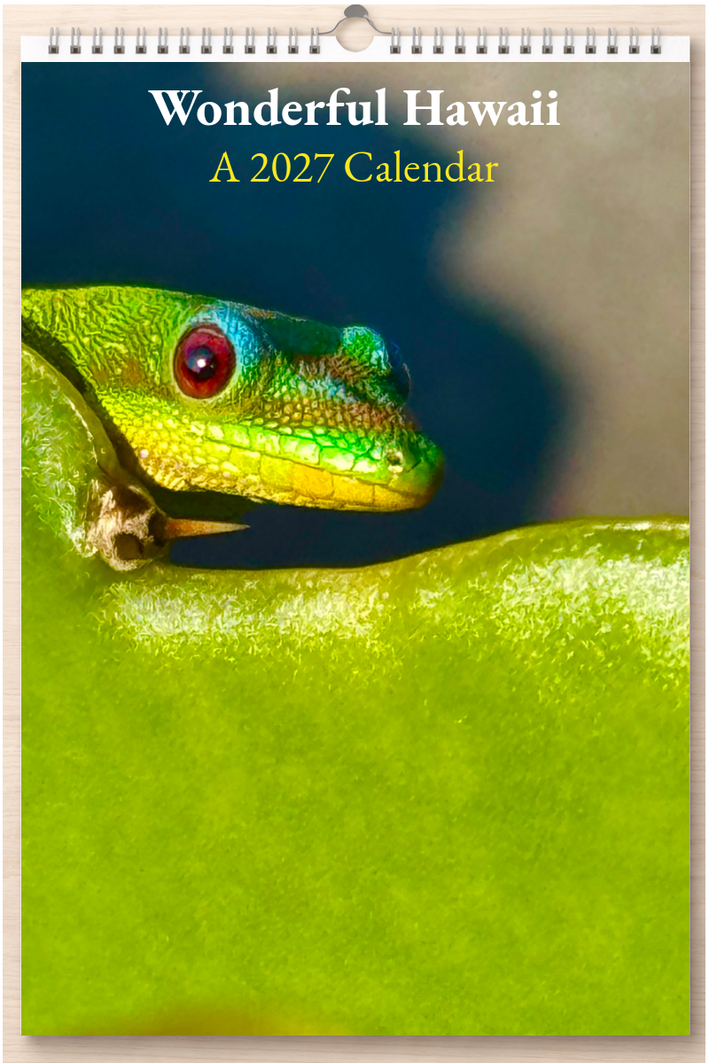 Wonderful Hawaii: A 2027 Calendar
