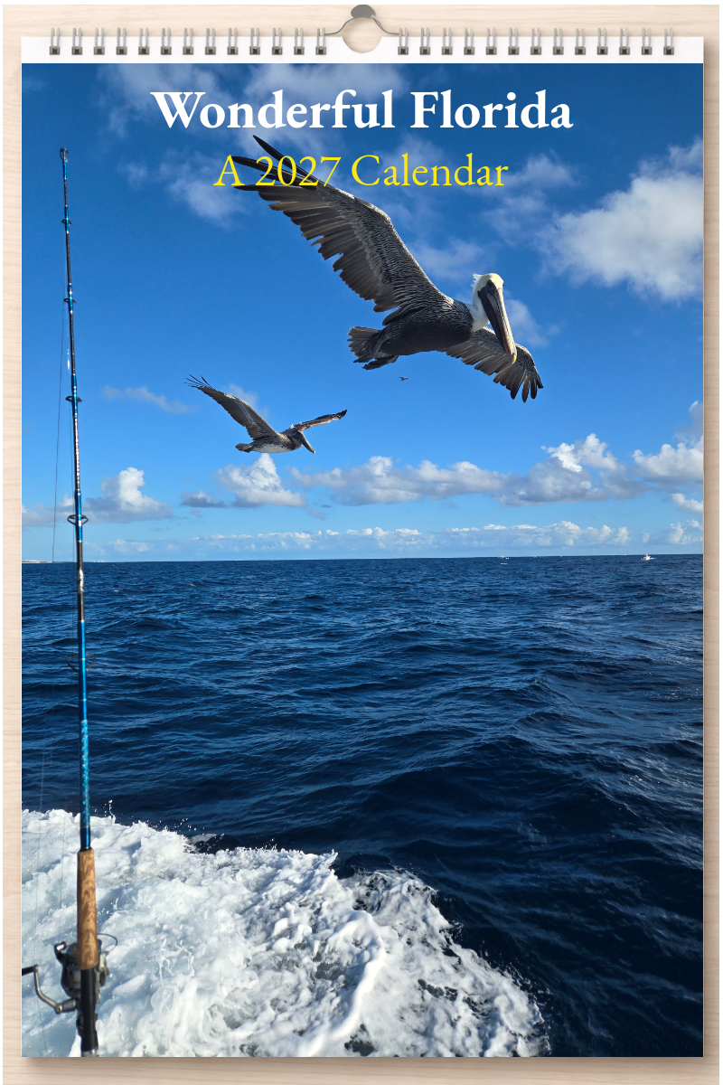 Wonderful Florida: A 2027 Calendar
