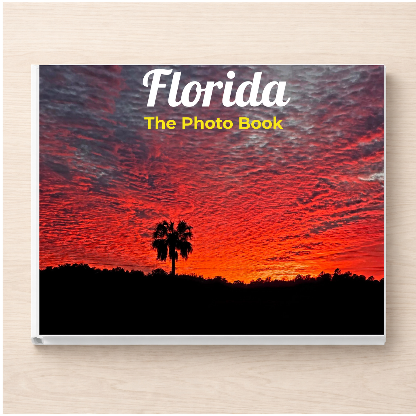 Florida: The Photo Book
