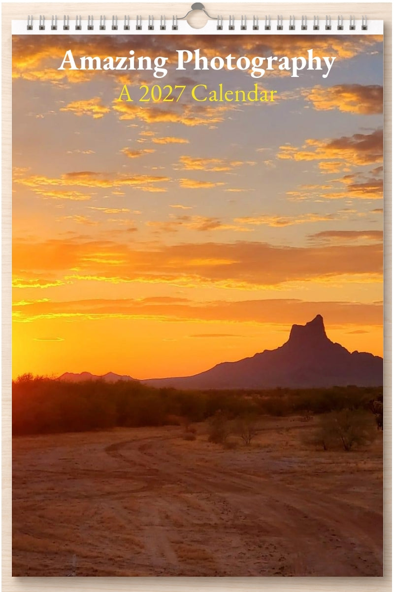 Amazing Photography: A 2027 Calendar