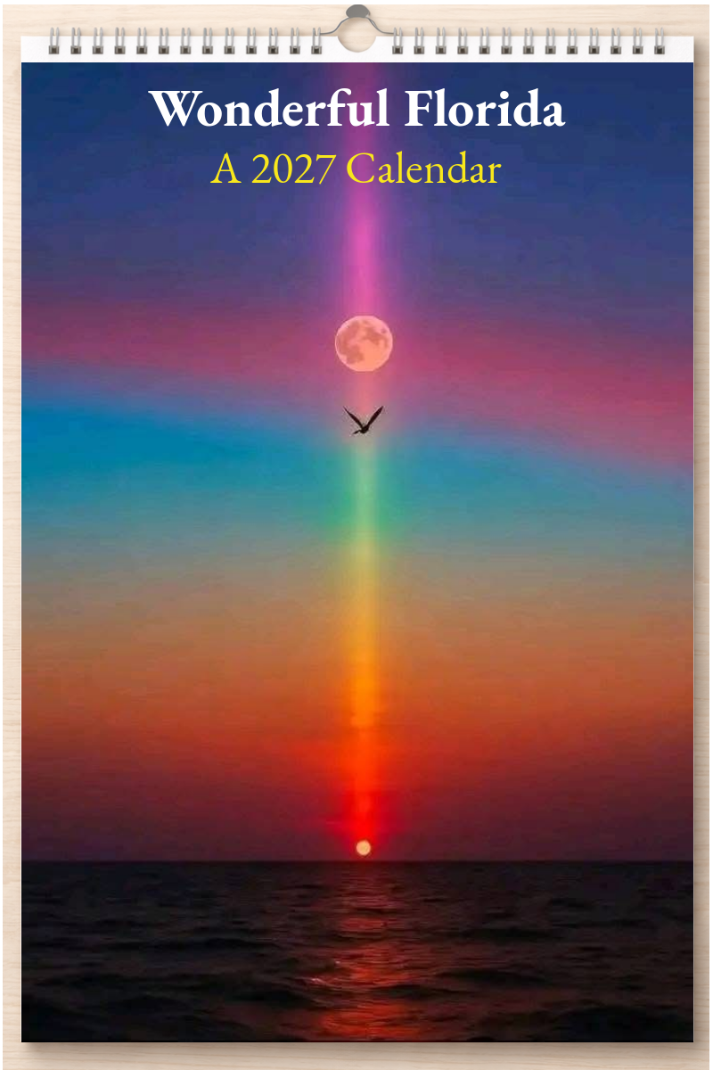 Wonderful Florida: A 2027 Calendar