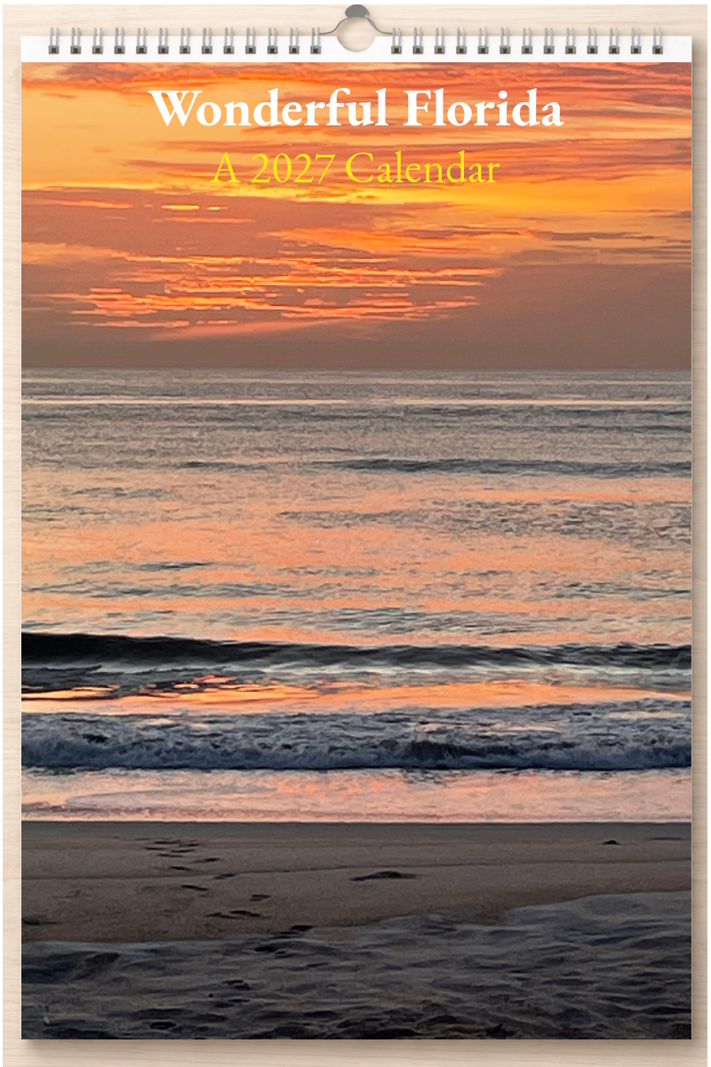 Wonderful Florida: A 2027 Calendar
