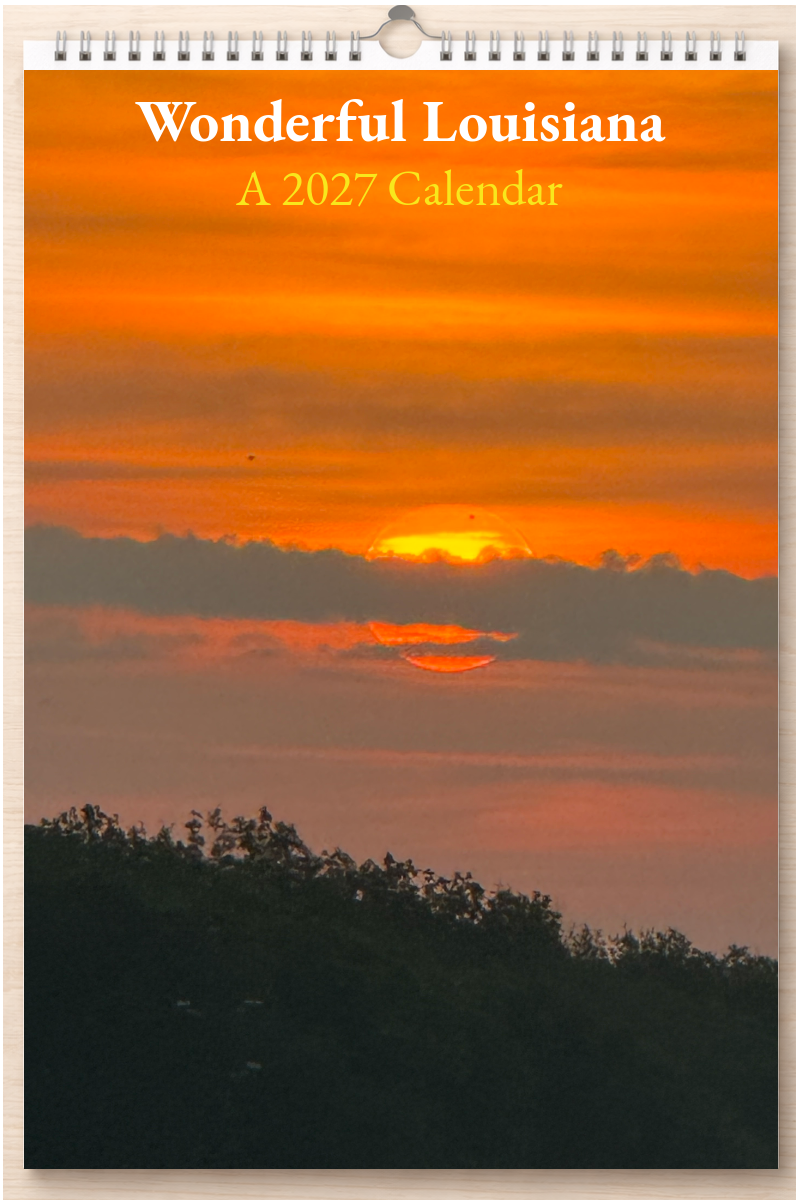 Wonderful Louisiana: A 2027 Calendar