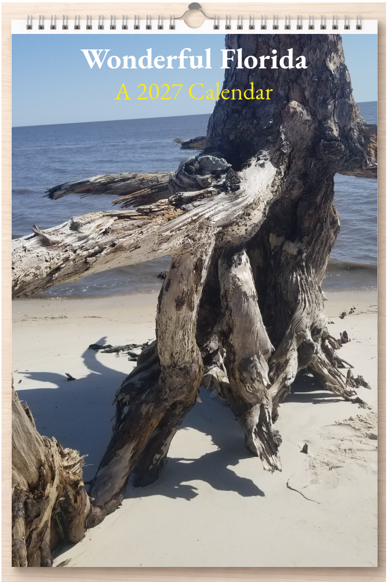 Wonderful Florida: A 2027 Calendar