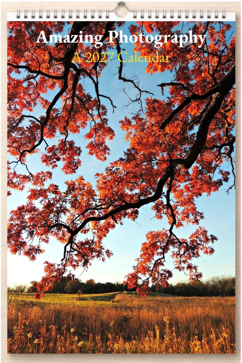 Amazing Photography: A 2027 Calendar