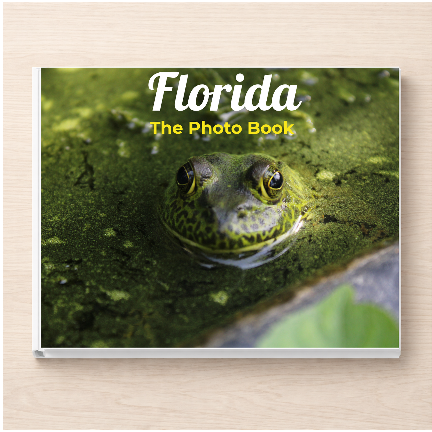 Florida: The Photo Book