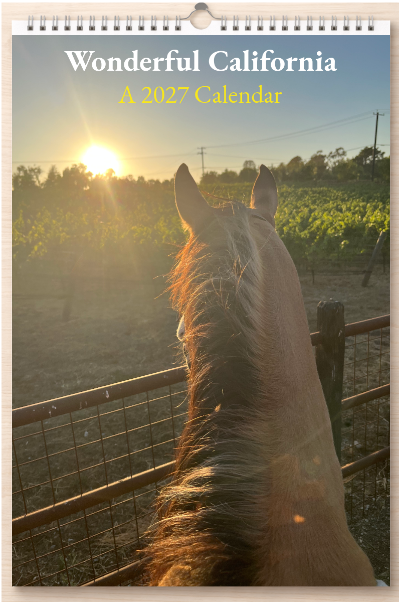 Wonderful California: A 2027 Calendar