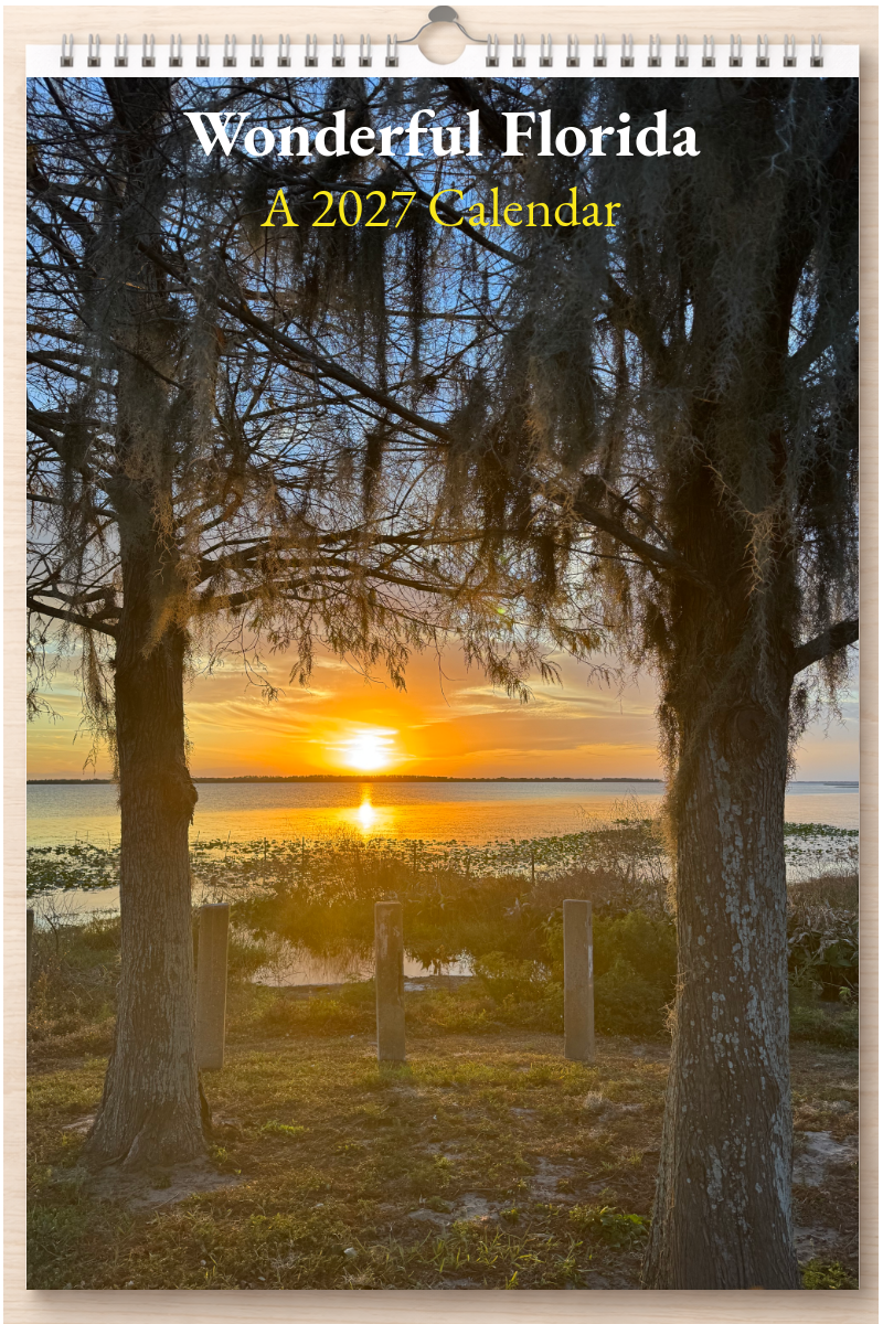 Wonderful Florida: A 2027 Calendar