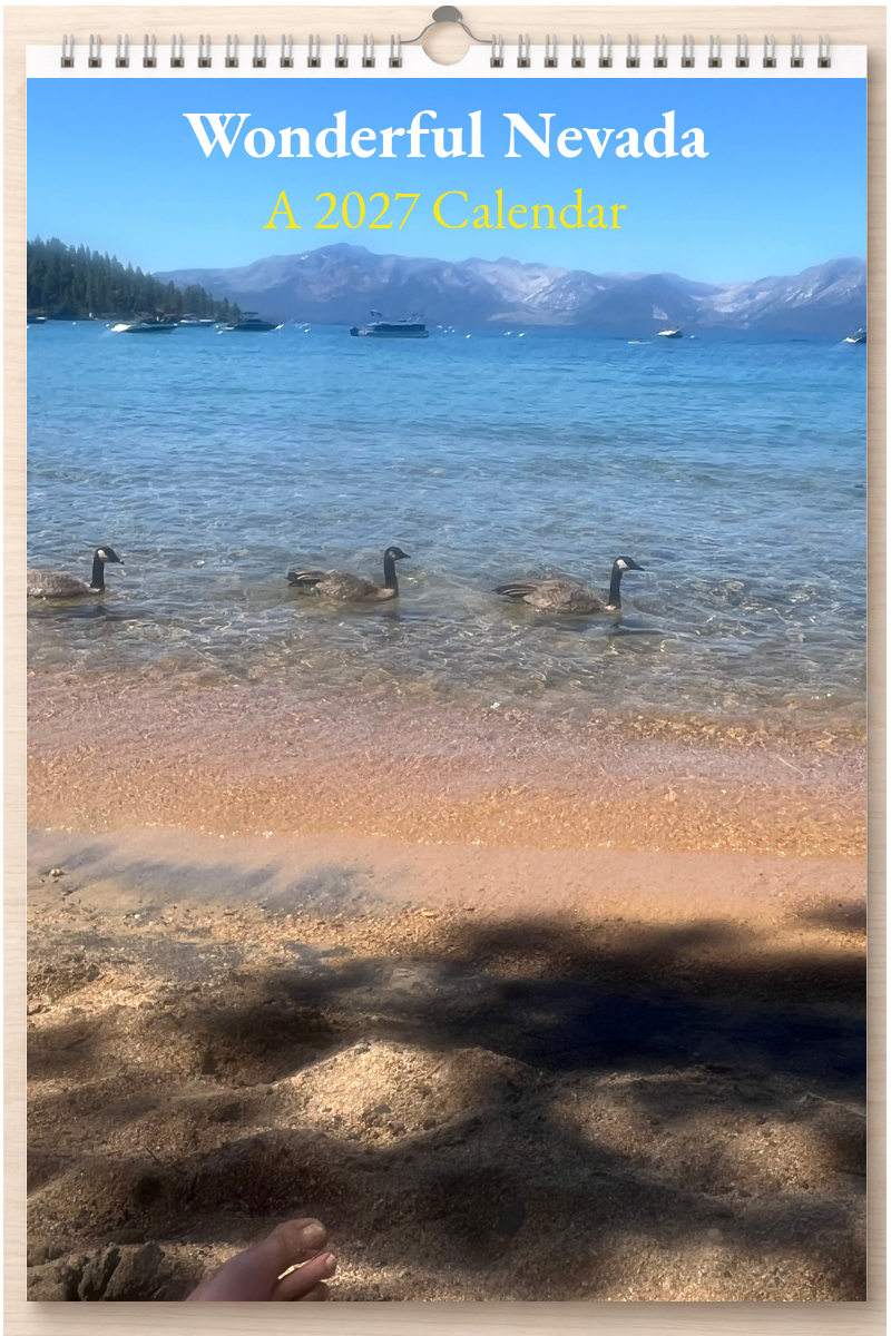 Wonderful Nevada: A 2027 Calendar
