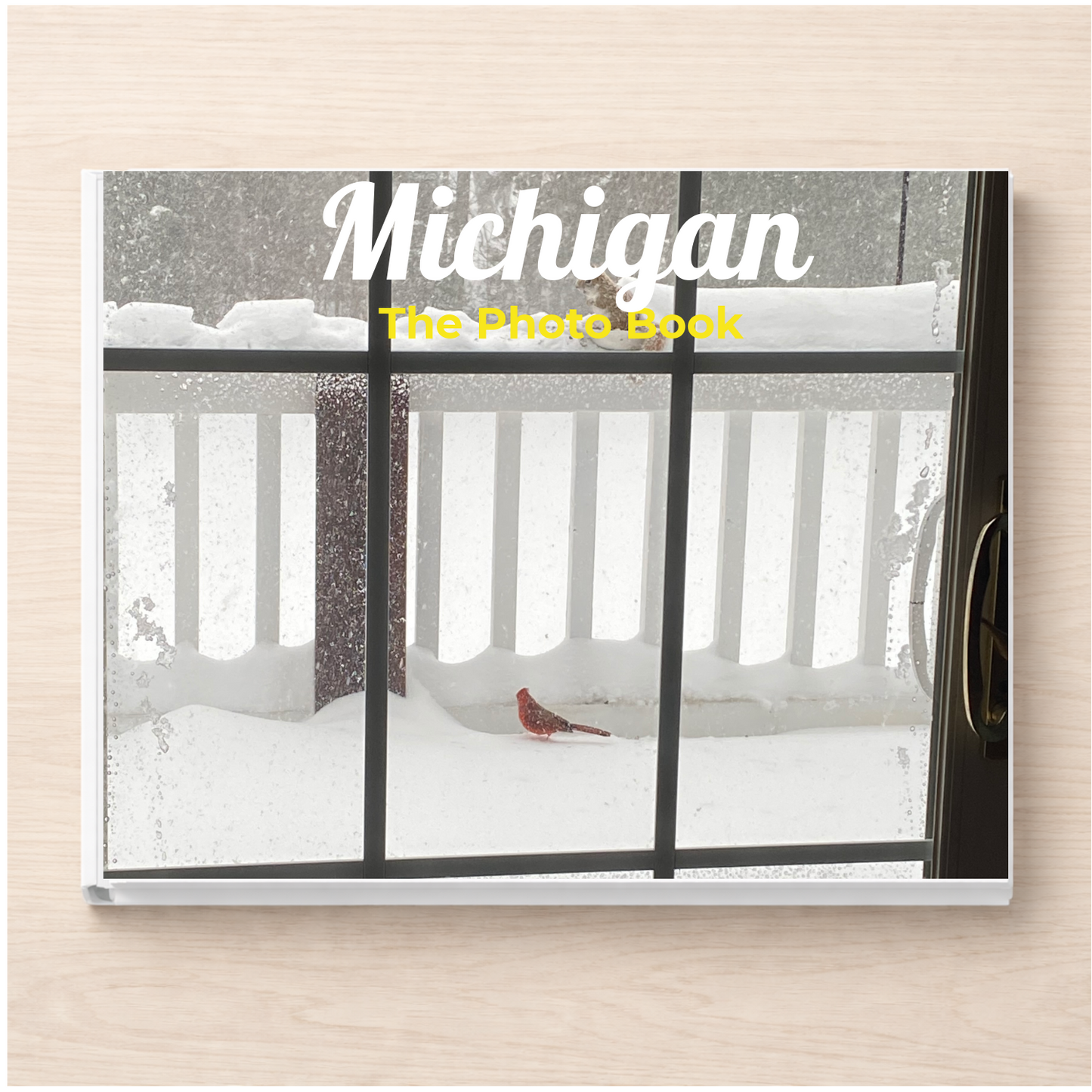 Michigan: The Photo Book