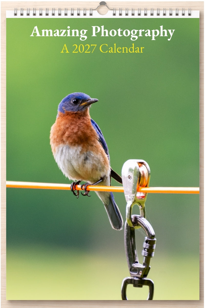 Amazing Photography: A 2027 Calendar