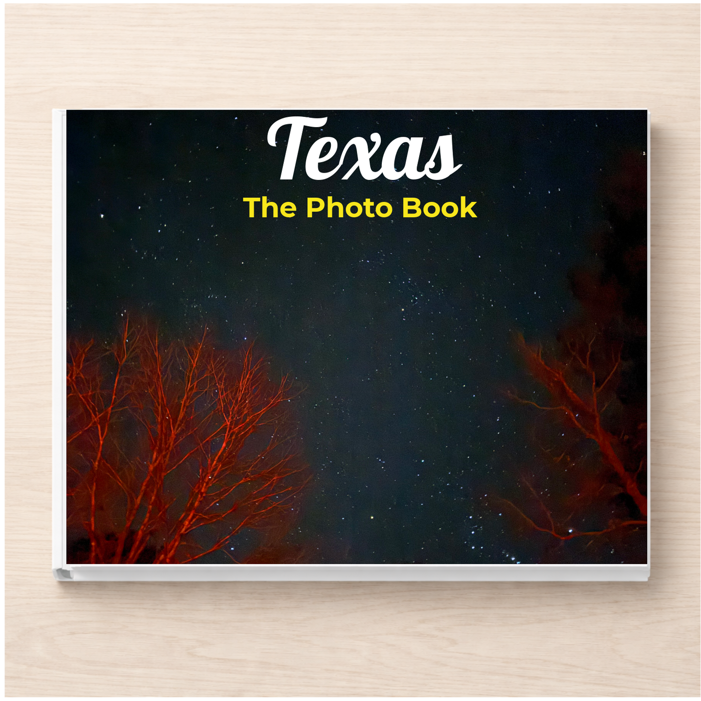 Texas: The Photo Book
