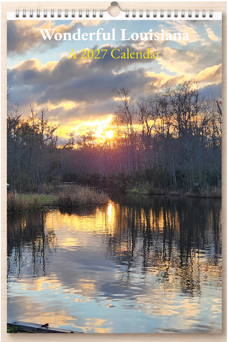 Wonderful Louisiana: A 2027 Calendar