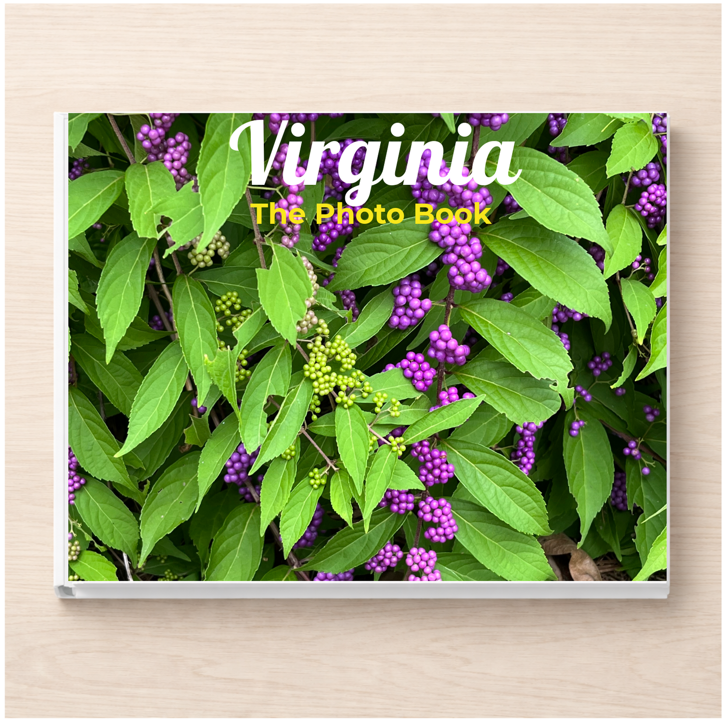 Virginia: The Photo Book