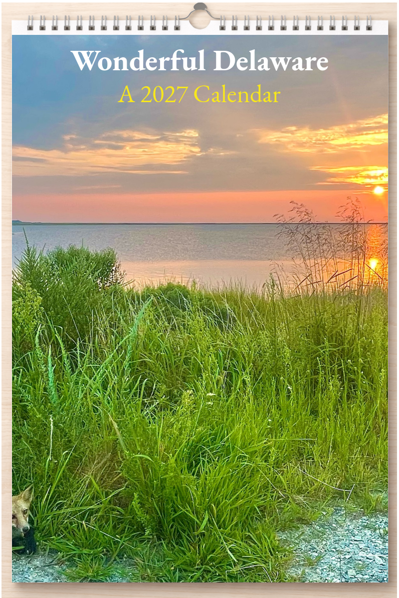 Wonderful Delaware: A 2027 Calendar
