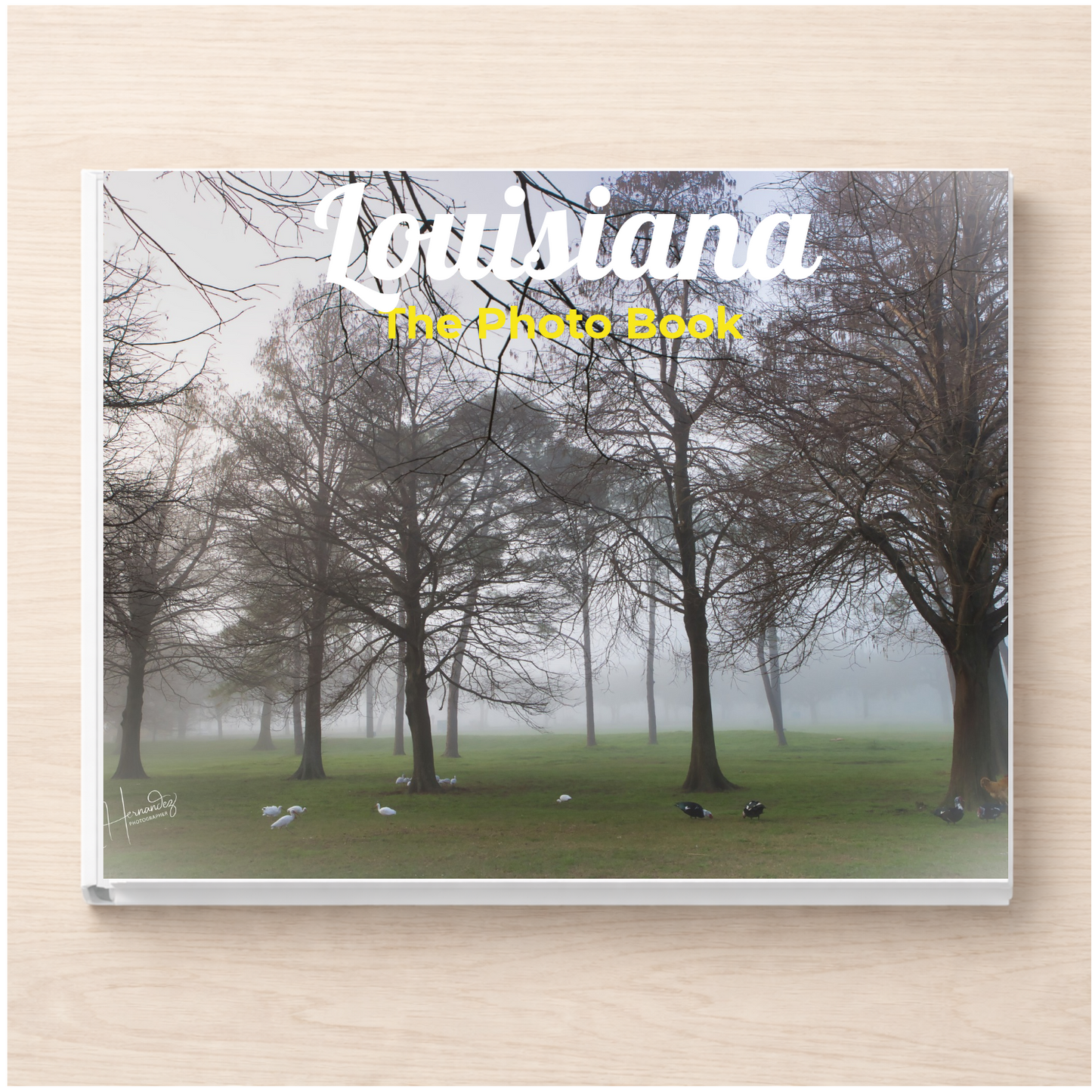 Louisiana: The Photo Book