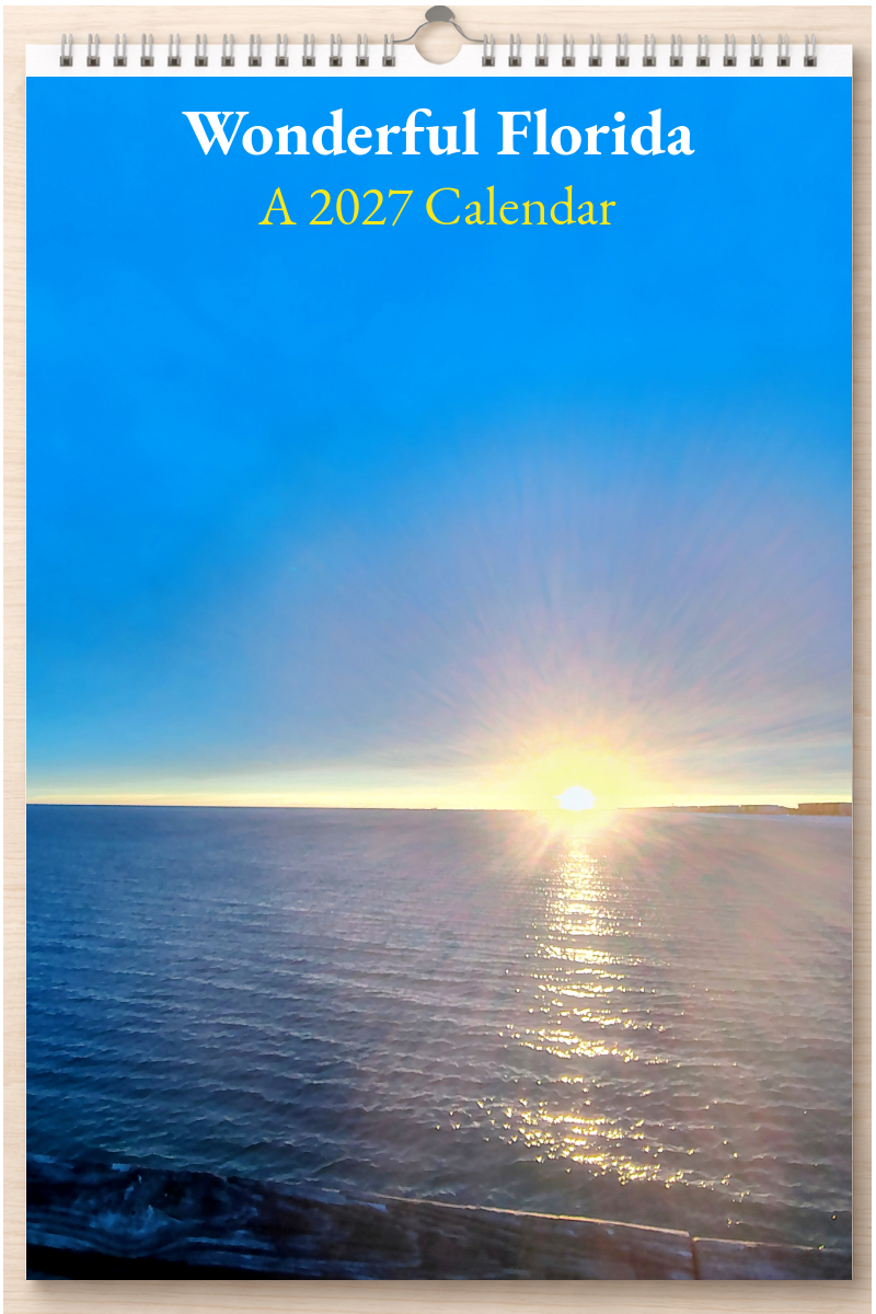 Wonderful Florida: A 2027 Calendar
