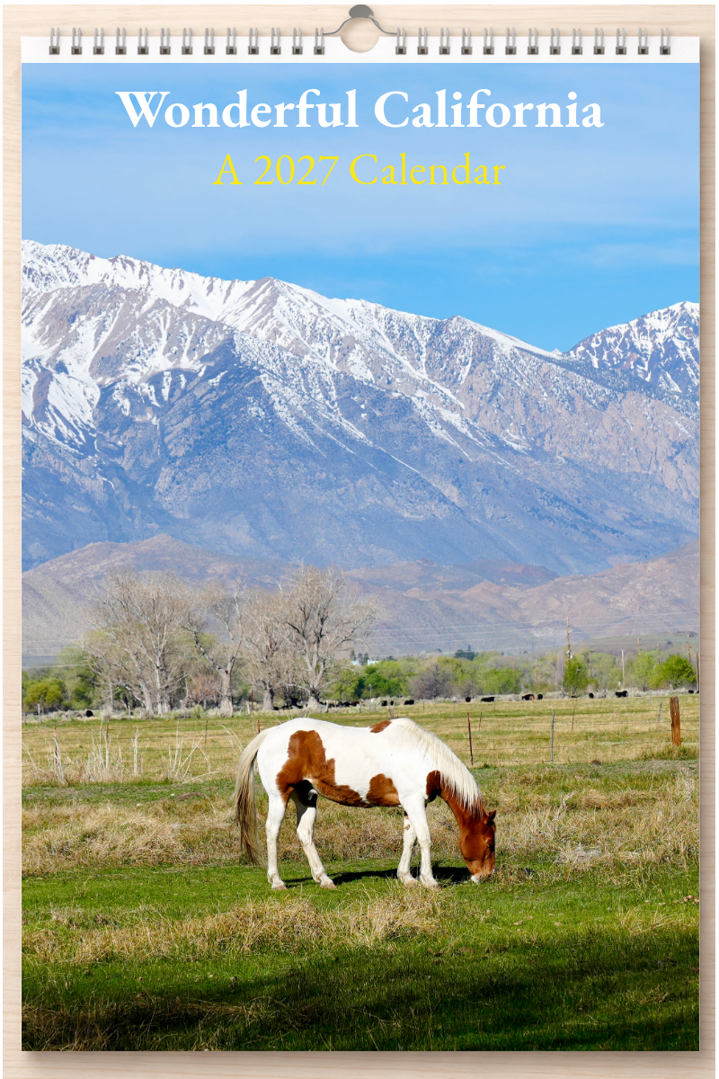 Wonderful California: A 2027 Calendar