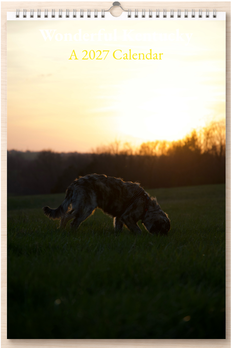 Wonderful Kentucky: A 2027 Calendar