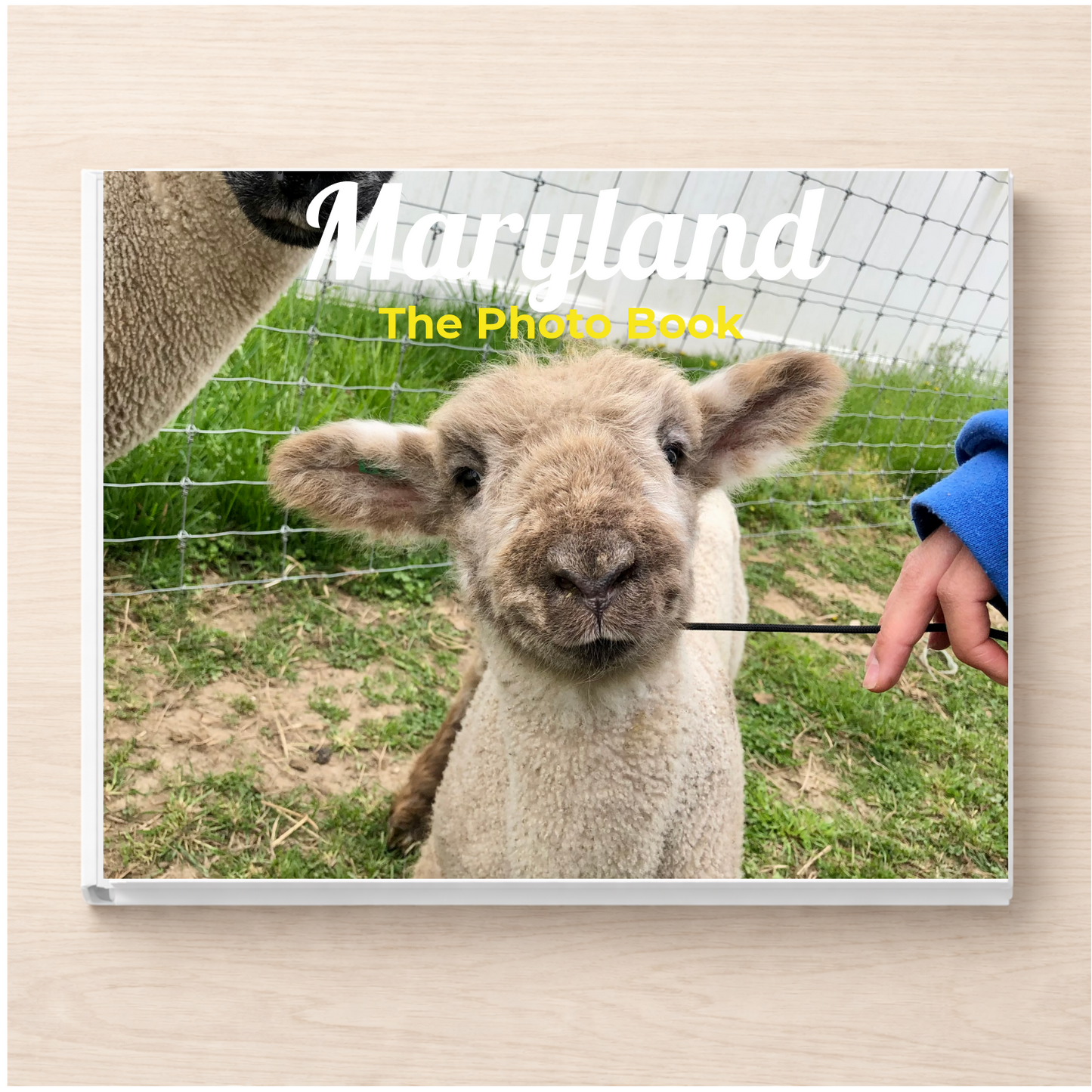 Maryland: The Photo Book